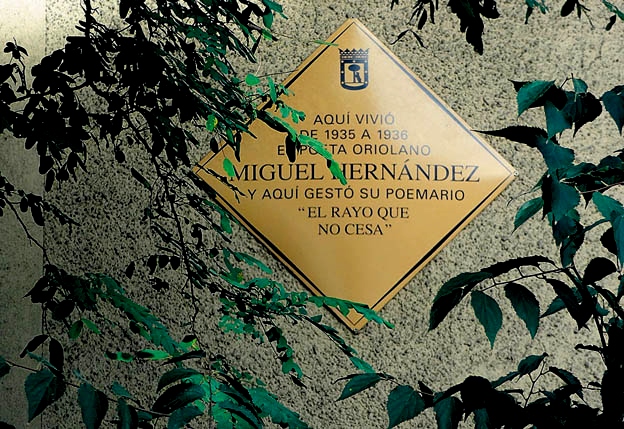MIGUEL HERNANDEZ PLACA